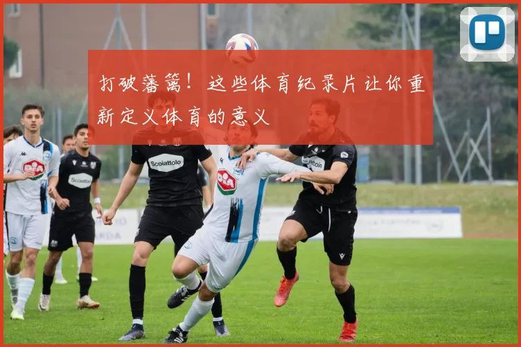 打破藩篱！这些体育纪录片让你重新定义体育的意义