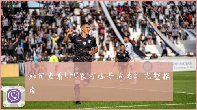 如何查看UFC官方选手排名？完整指南