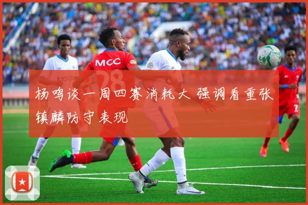 杨鸣谈一周四赛消耗大 强调看重张镇麟防守表现