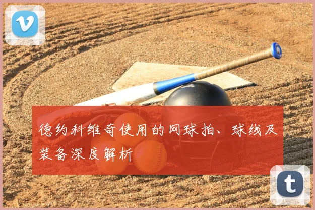 德约科维奇使用的网球拍、球线及装备深度解析