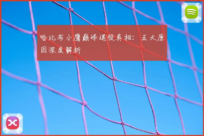 哈比布小鹰巅峰退役真相：五大原因深度解析