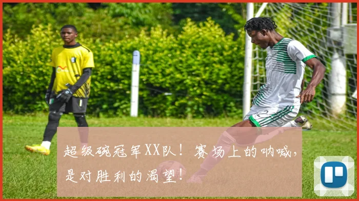 超级碗冠军XX队！赛场上的呐喊，是对胜利的渴望！