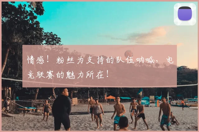 情感！粉丝为支持的队伍呐喊，电竞联赛的魅力所在！