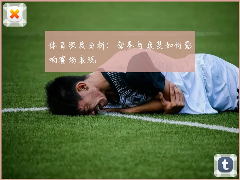 体育深度分析:营养与康复如何影响赛场表现